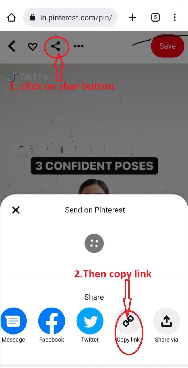 PinterestVideoDownloader.com